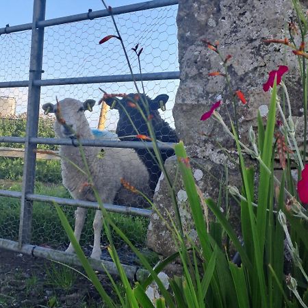 Red Gate Cottage Buncrana Ngoại thất bức ảnh
